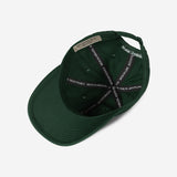 Health Is Wealth Dad Cap